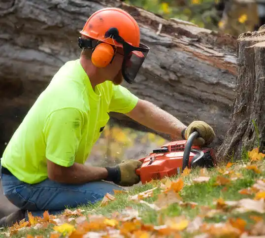 tree services Colstrip